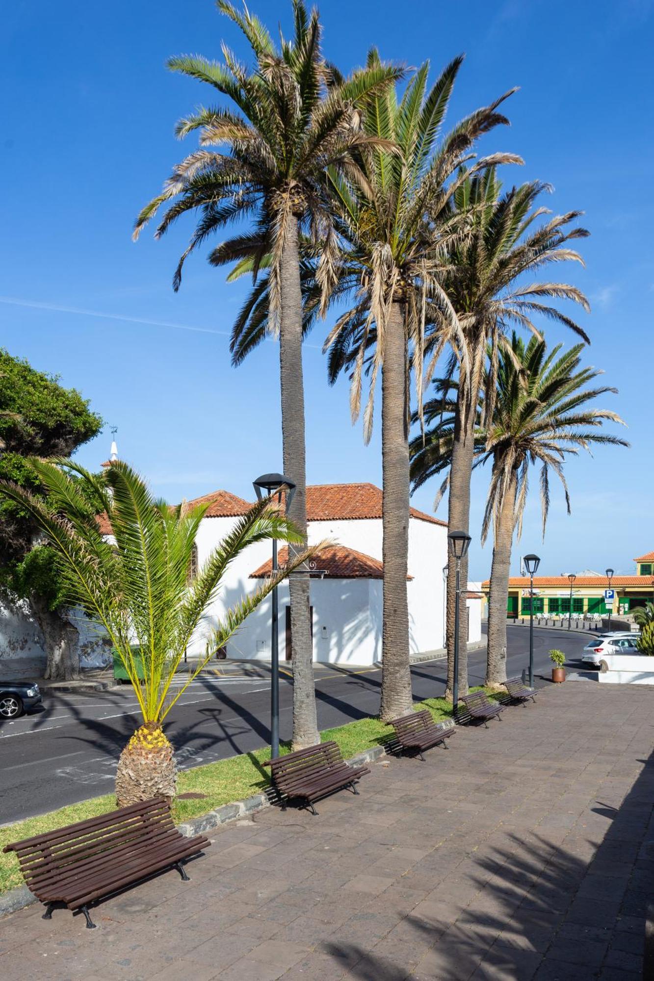 El Hostal Del Cubo San Juan de la Rambla Εξωτερικό φωτογραφία